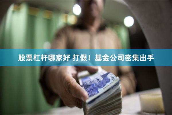 股票杠杆哪家好 打假！基金公司密集出手