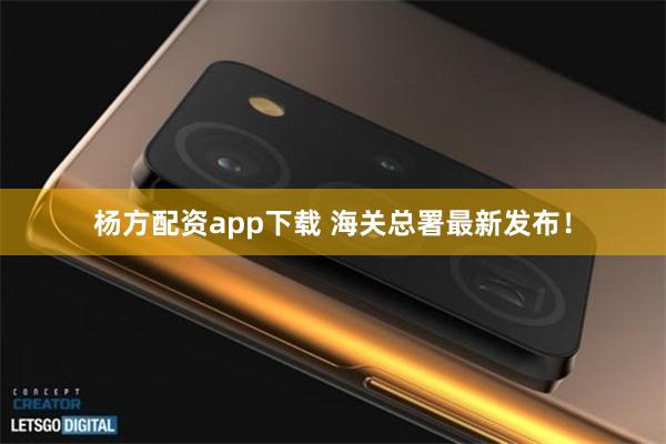 杨方配资app下载 海关总署最新发布！