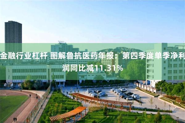 金融行业杠杆 图解鲁抗医药年报：第四季度单季净利润同比减11.31%