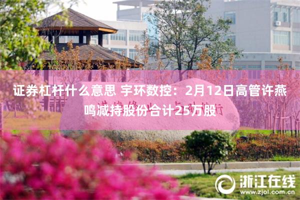 证券杠杆什么意思 宇环数控：2月12日高管许燕鸣减持股份合计25万股