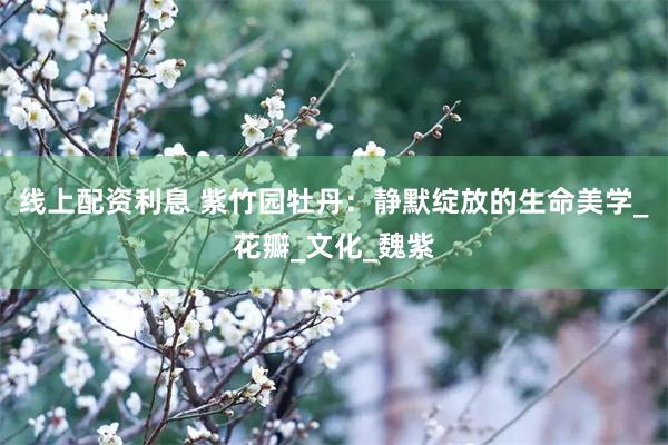 线上配资利息 紫竹园牡丹：静默绽放的生命美学_花瓣_文化_魏紫