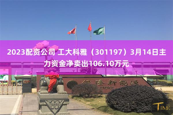 2023配资公司 工大科雅（301197）3月14日主力资金净卖出106.10万元