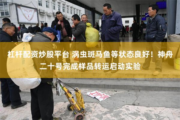 杠杆配资炒股平台 涡虫斑马鱼等状态良好！神舟二十号完成样品转运启动实验