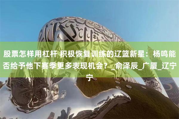 股票怎样用杠杆 积极恢复训练的辽篮新星：杨鸣能否给予他下赛季更多表现机会？_俞泽辰_广厦_辽宁