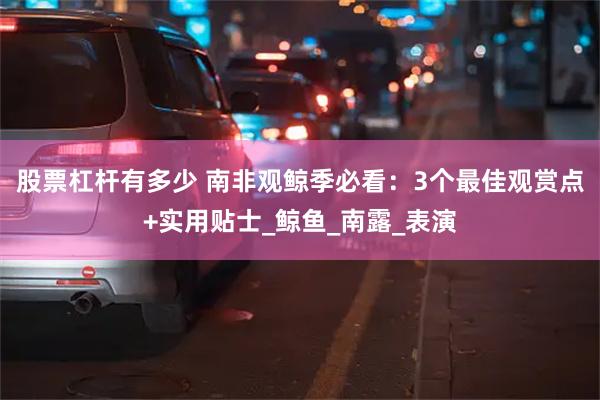 股票杠杆有多少 南非观鲸季必看：3个最佳观赏点+实用贴士_鲸鱼_南露_表演