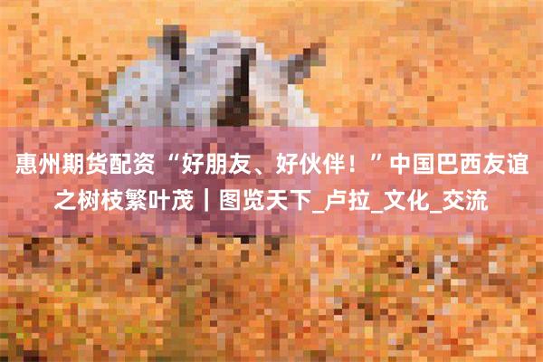 惠州期货配资 “好朋友、好伙伴！”中国巴西友谊之树枝繁叶茂｜图览天下_卢拉_文化_交流