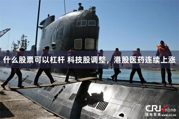 什么股票可以杠杆 科技股调整，港股医药连续上涨