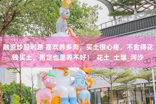 融资炒股利息 喜欢养多肉，买土很心疼，不舍得花钱买土，指定也是养不好！_花土_土壤_河沙