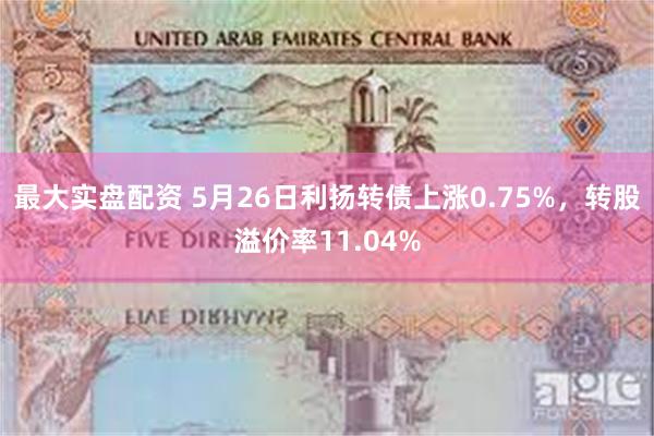 最大实盘配资 5月26日利扬转债上涨0.75%，转股溢价率11.04%