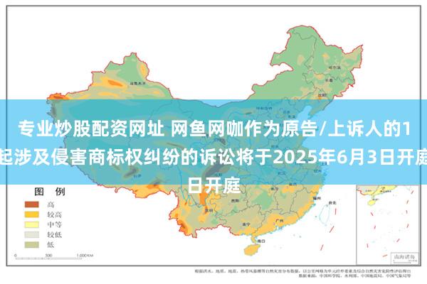 专业炒股配资网址 网鱼网咖作为原告/上诉人的1起涉及侵害商标权纠纷的诉讼将于2025年6月3日开庭