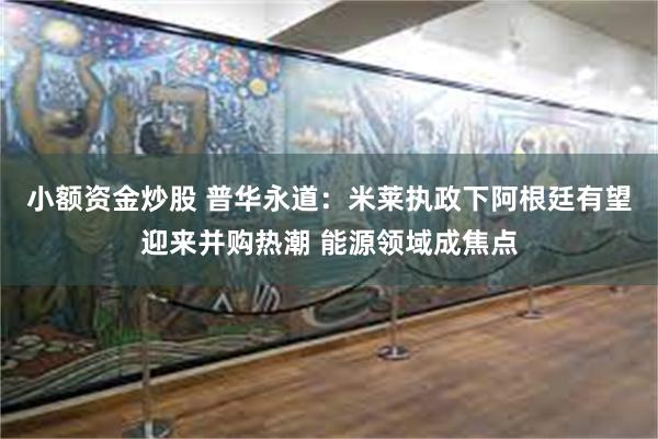 小额资金炒股 普华永道：米莱执政下阿根廷有望迎来并购热潮 能源领域成焦点